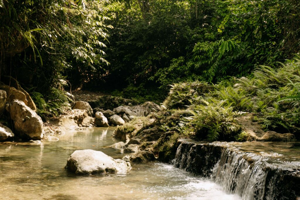 Treehouse de Valentine Treehouse No. 1