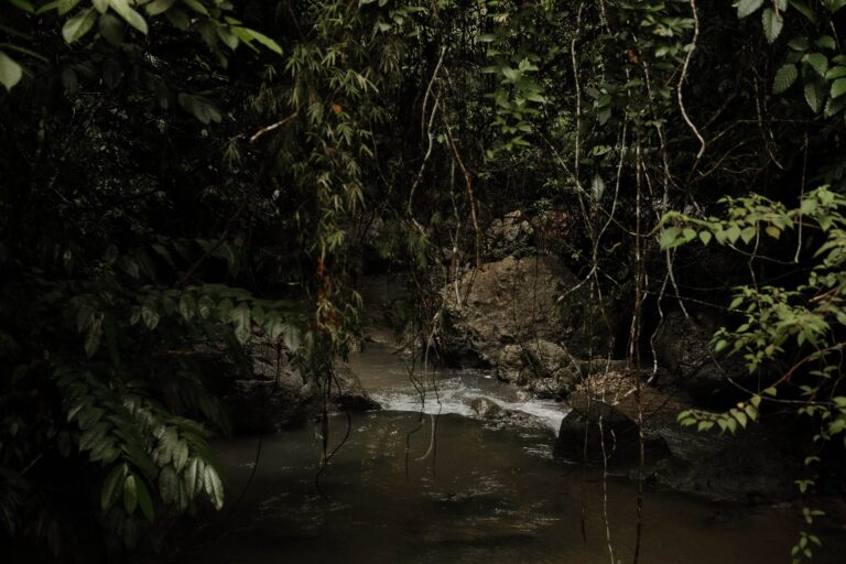 Treehouse de Valentine Treehouse No. 1