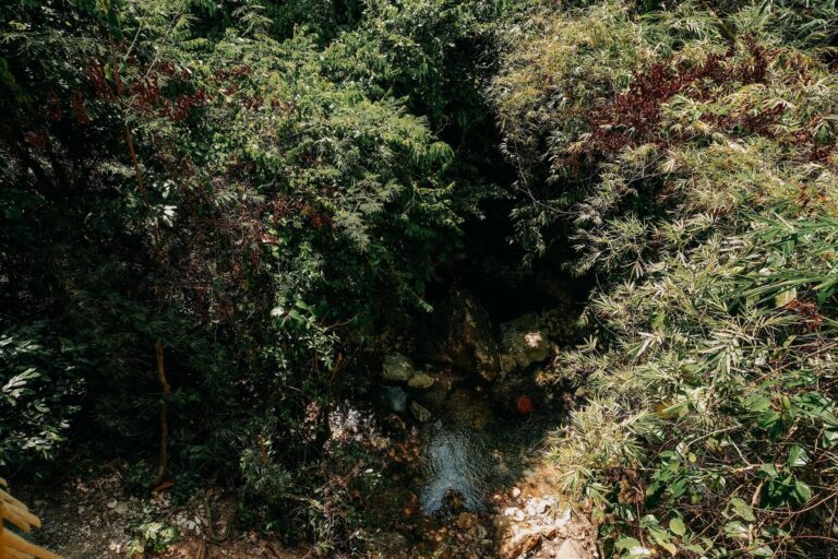 Treehouse de Valentine Treehouse No. 3