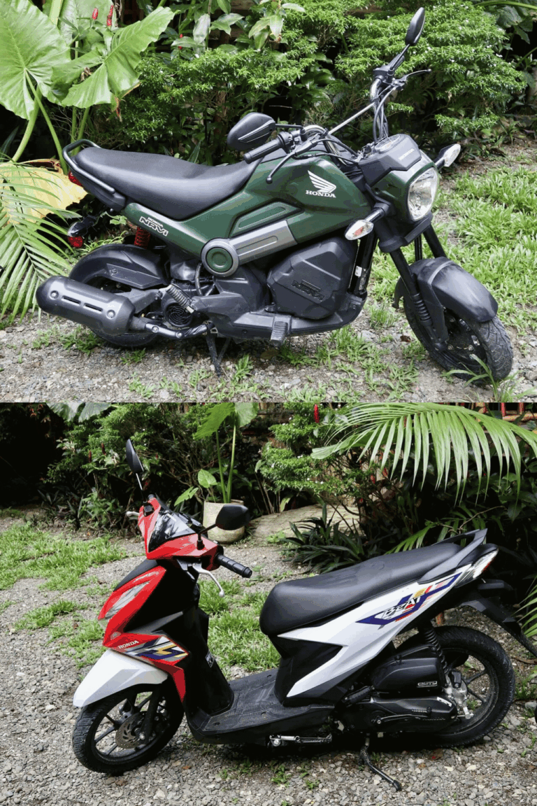 Treehouse Activities Motorbike Rental