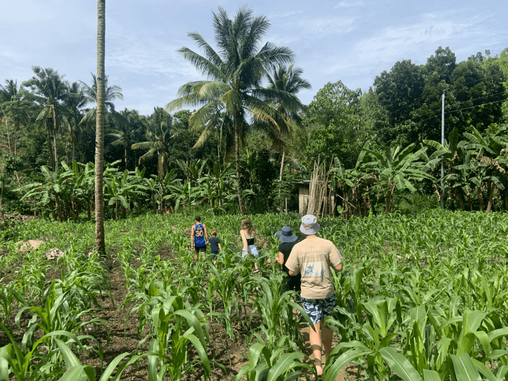 Village Immersion Treehouse Activities