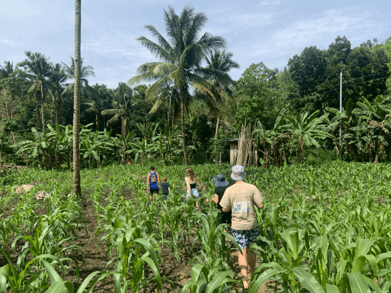 Village Immersion Treehouse Activities