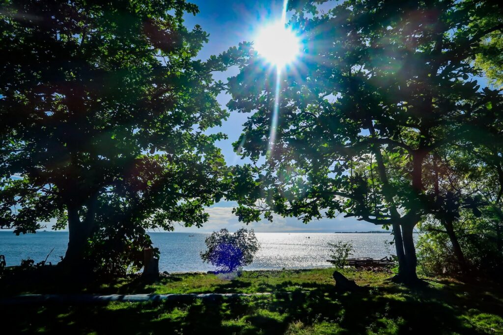 Why Summer Is the Perfect Time to Visit Cebu
