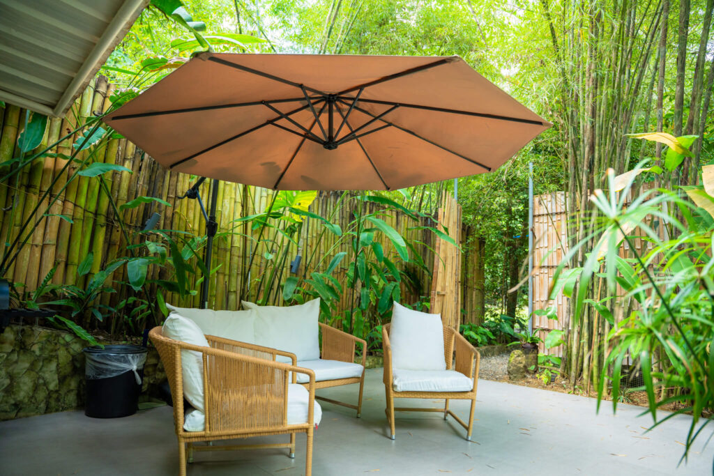 Cebu best places to visit in December
