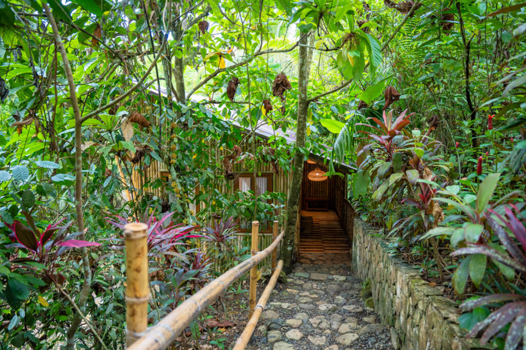 best nature resort