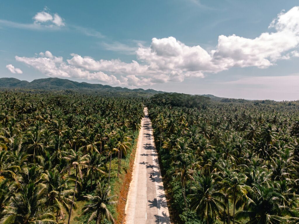 Cebu to Siargao from Treehouse de Valentine