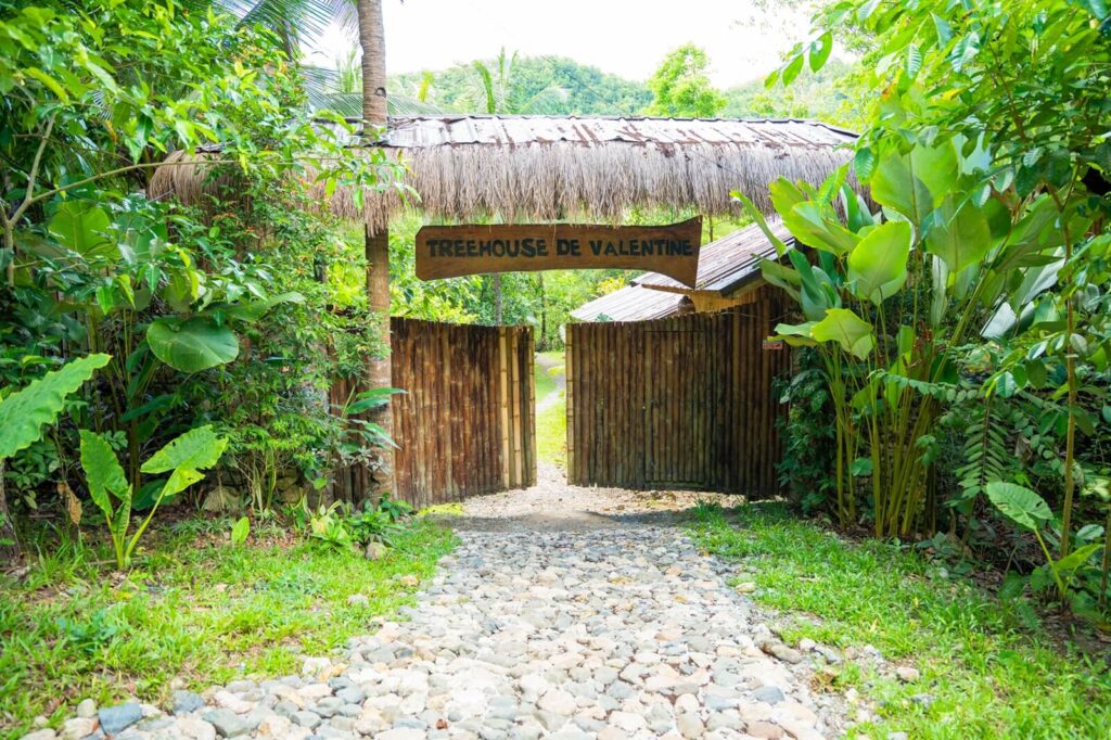 A Peaceful Place to Relax in Cebu quiet vacation at Treehouse de Valentine